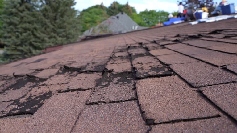 Best Roof Waterproofing  in Brookings, SD