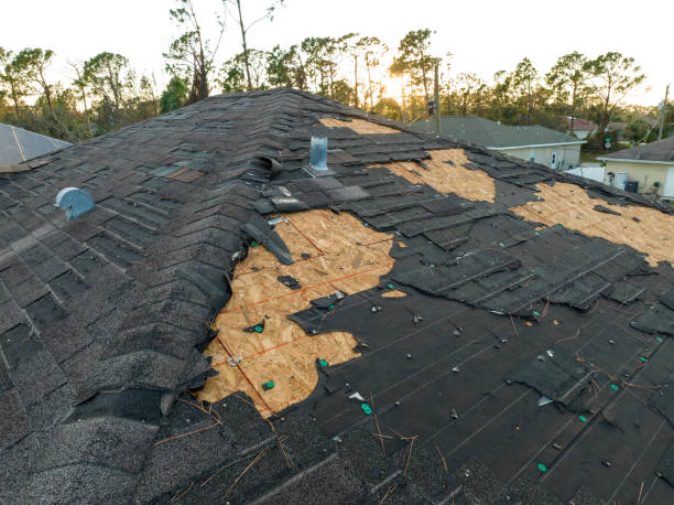 Best Metal Roofing Installation  in Brookings, SD