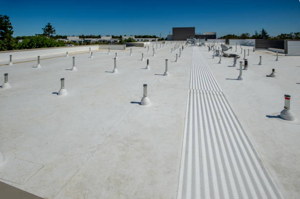 Best Green or Eco-Friendly Roofing Solutions  in Brookings, SD